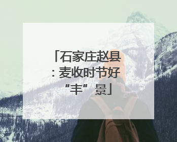 石家庄赵县：麦收时节好“丰”景