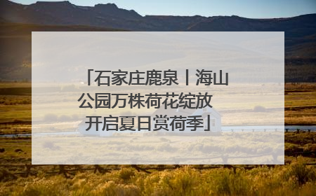 石家庄鹿泉丨海山公园万株荷花绽放 开启夏日赏荷季