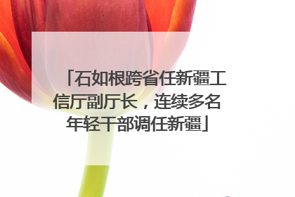 石如根跨省任新疆工信厅副厅长，连续多名年轻干部调任新疆