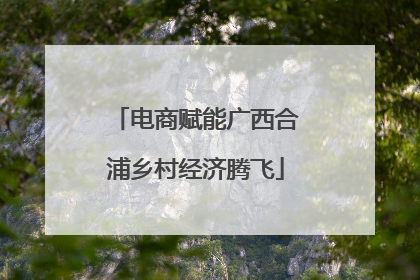 电商赋能广西合浦乡村经济腾飞