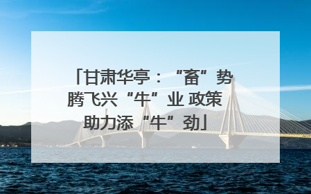 甘肃华亭：“畜”势腾飞兴“牛”业 政策助力添“牛”劲