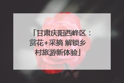 甘肃庆阳西峰区：赏花+采摘 解锁乡村旅游新体验