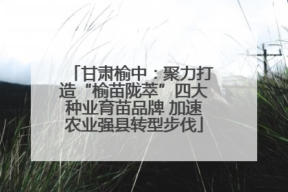 甘肃榆中：聚力打造“榆苗陇萃”四大种业育苗品牌 加速农业强县转型步伐