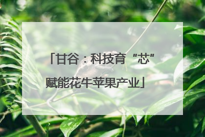 甘谷：科技育“芯”赋能花牛苹果产业