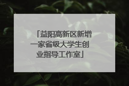 益阳高新区新增一家省级大学生创业指导工作室