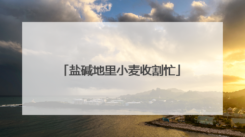 盐碱地里小麦收割忙