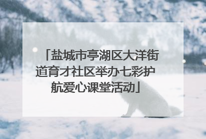 盐城市亭湖区大洋街道育才社区举办七彩护航爱心课堂活动