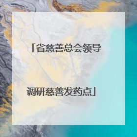 省慈善总会领导调研慈善发药点