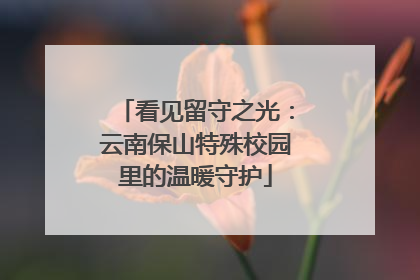 看见留守之光：云南保山特殊校园里的温暖守护