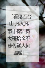 看见五台山 凡人凡事｜保洁员大哥拾金不昧传递人间温暖