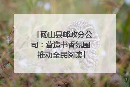 砀山县邮政分公司：营造书香氛围 推动全民阅读
