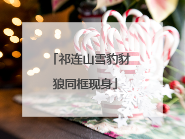祁连山雪豹豺狼同框现身