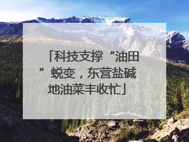 科技支撑“油田”蜕变，东营盐碱地油菜丰收忙