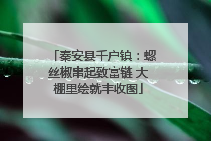 秦安县千户镇：螺丝椒串起致富链 大棚里绘就丰收图