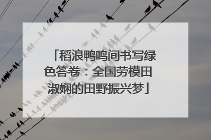 稻浪鸭鸣间书写绿色答卷：全国劳模田淑娴的田野振兴梦
