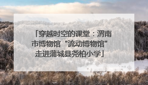 穿越时空的课堂：渭南市博物馆“流动博物馆”走进蒲城县尧柏小学