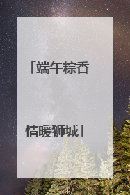 端午粽香 情暖狮城