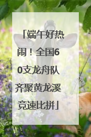 端午好热闹！全国60支龙舟队齐聚黄龙溪竞速比拼