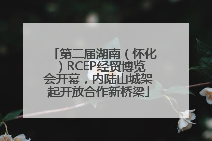 第二届湖南（怀化）RCEP经贸博览会开幕，内陆山城架起开放合作新桥梁