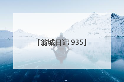 翁城日记 935