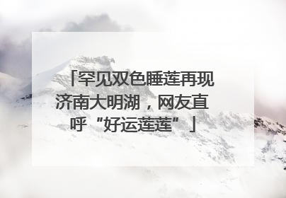 罕见双色睡莲再现济南大明湖，网友直呼“好运莲莲”