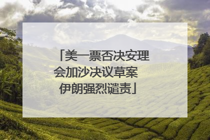 美一票否决安理会加沙决议草案 伊朗强烈谴责