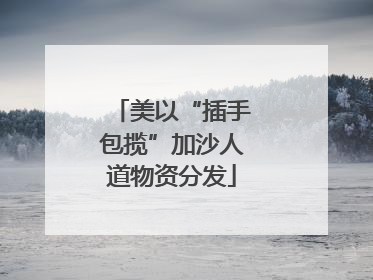 美以“插手包揽”加沙人道物资分发