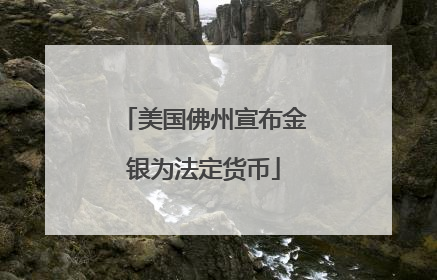 美国佛州宣布金银为法定货币