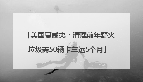美国夏威夷：清理前年野火垃圾需50辆卡车运5个月
