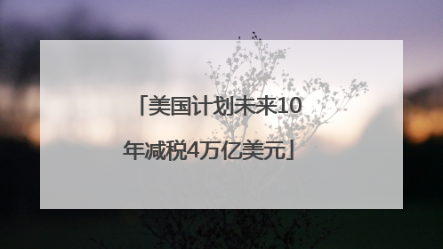 美国计划未来10年减税4万亿美元