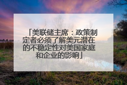 美联储主席：政策制定者必须了解美元潜在的不稳定性对美国家庭和企业的影响