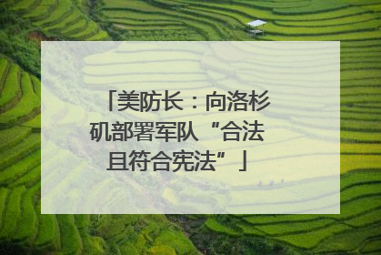 美防长：向洛杉矶部署军队“合法且符合宪法”