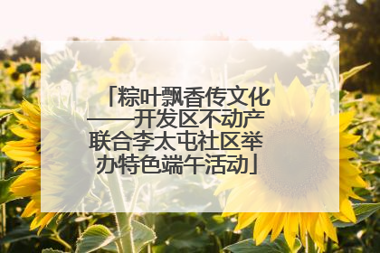 粽叶飘香传文化——开发区不动产联合李太屯社区举办特色端午活动