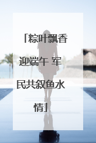 粽叶飘香迎端午 军民共叙鱼水情