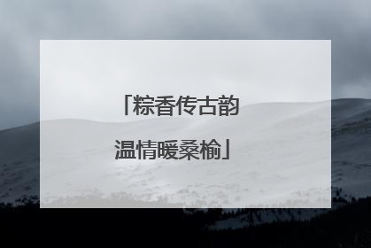 粽香传古韵 温情暖桑榆