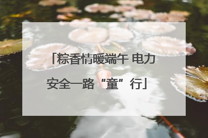 粽香情暖端午 电力安全一路“童”行