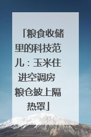 粮食收储里的科技范儿：玉米住进空调房 粮仓披上隔热罩