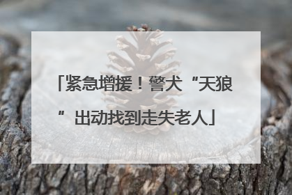 紧急增援！警犬“天狼”出动找到走失老人