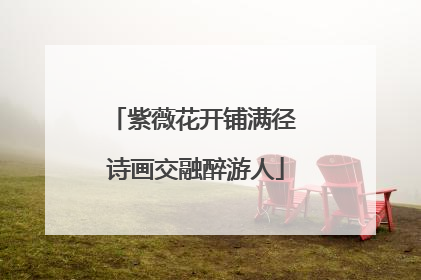 紫薇花开铺满径 诗画交融醉游人