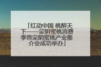 红动中国 桃醉天下——蒙阴蜜桃消费季暨蒙阴蜜桃产业推介会成功举办