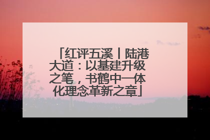 红评五溪丨陆港大道：以基建升级之笔，书鹤中一体化理念革新之章