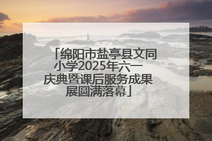绵阳市盐亭县文同小学2025年六一庆典暨课后服务成果展圆满落幕