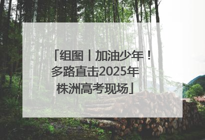 组图丨加油少年！多路直击2025年株洲高考现场
