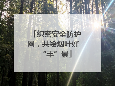 织密安全防护网，共绘烟叶好“丰”景