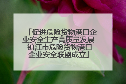 促进危险货物港口企业安全生产高质量发展 镇江市危险货物港口企业安全联盟成立