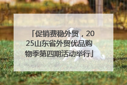 促销费稳外贸，2025山东省外贸优品购物季第四期活动举行