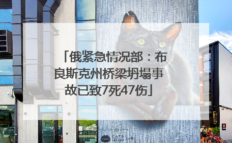 俄紧急情况部：布良斯克州桥梁坍塌事故已致7死47伤