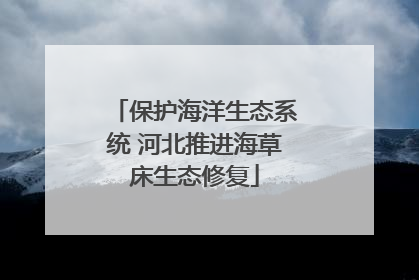 保护海洋生态系统 河北推进海草床生态修复