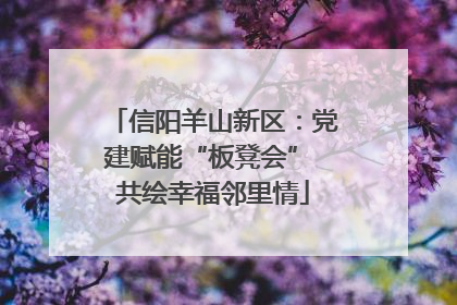 信阳羊山新区：党建赋能“板凳会” 共绘幸福邻里情