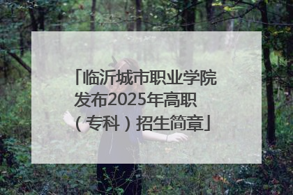 临沂城市职业学院发布2025年高职（专科）招生简章